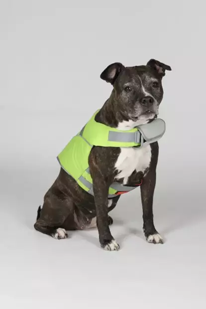 Hundra Dog Life Jacket - Dog Vest & Cloths - 6438347048432 - 2